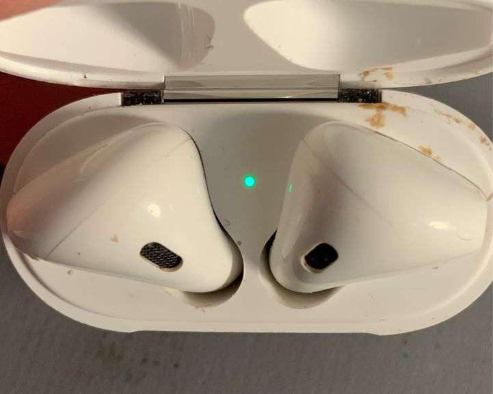 Apple Airpods, No Charger, Untested, Includes Floral Case Coastal