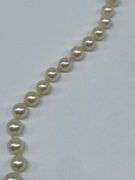 14kt Gold Clasp Pearl Necklace