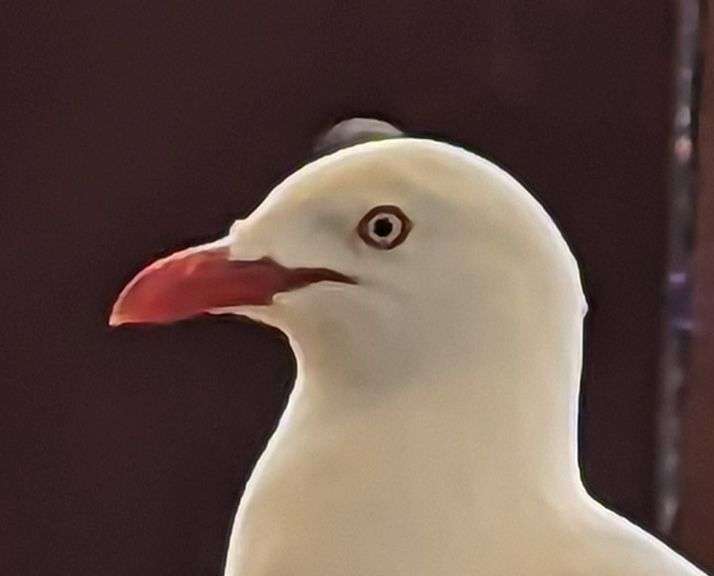 Current and Auctions Dixon's Auction at Crumpton