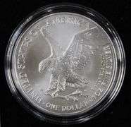 2022 Silver Eagle in Plastic Case