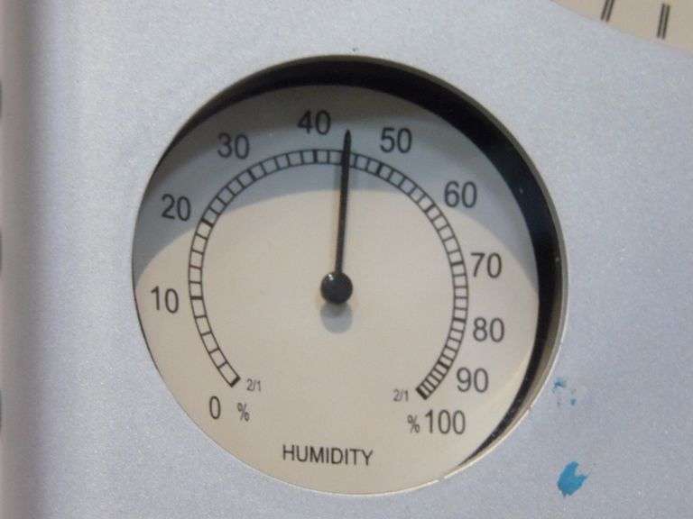 Quartz Clock, Temperature & Humidity Dunker Auction