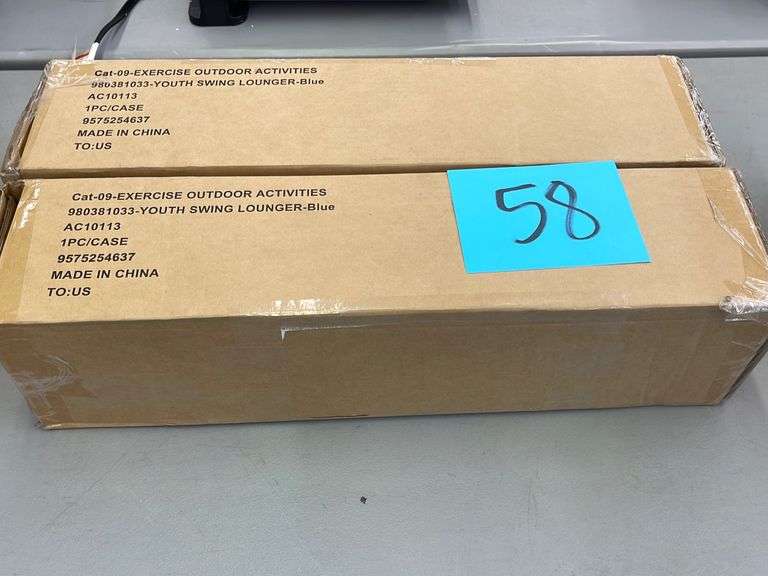 (2) YOUTH SWING LOUNGER CHAIRS Earl's Auction Company