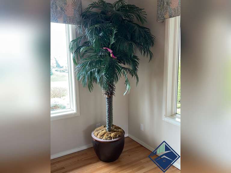Palm Tree Decor Plant Estate Details