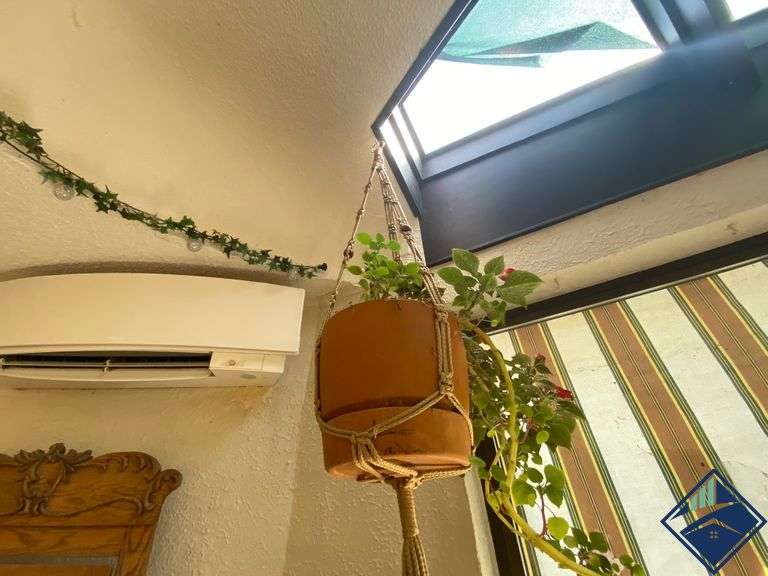 Assortment of Planters with or without Plants Estate Details