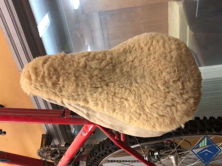 motiv stone grinder bike