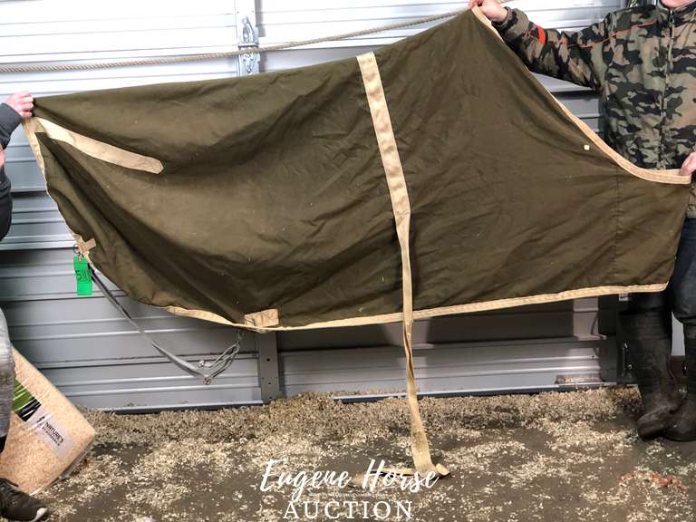 Triple Crown heavy blanket liner Eugene Horse Auction