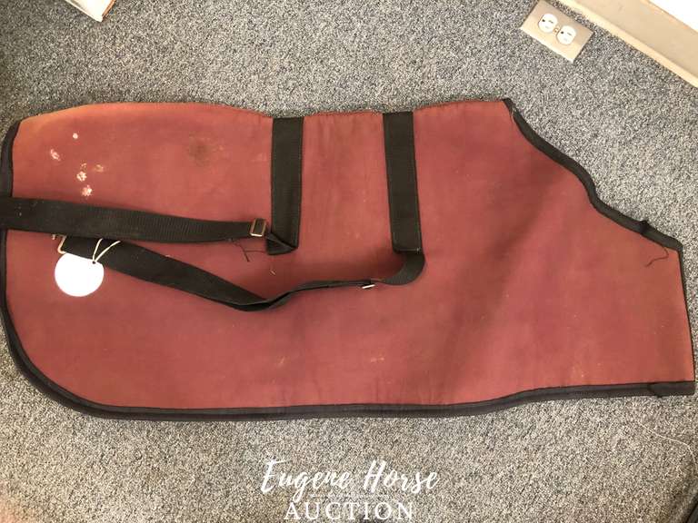 Tag 568 Brown Yearling Blanket Eugene Horse Auction