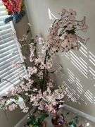 Flower arrangements