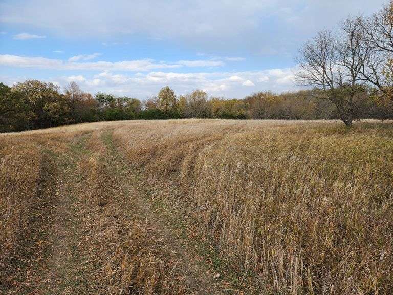 Tract 2 19.50 Acres of Surveyed Land. West Portion South of the River