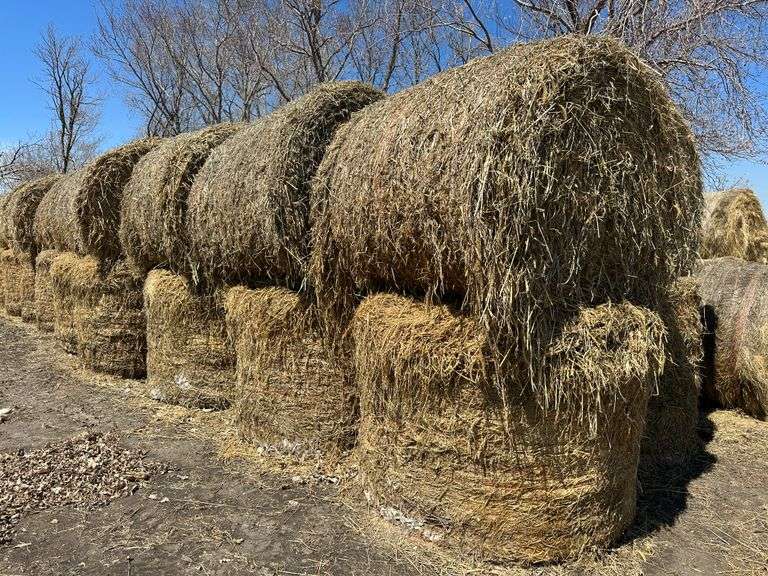 (10) 5 x 6 Japanese Millet Bales Fragodt Auction and Real Estate LLC