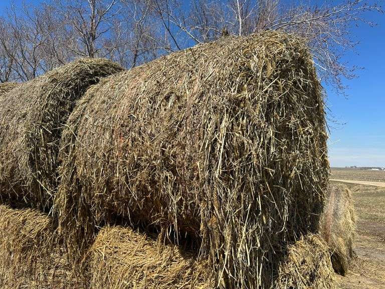 (10) 5 x 6 Japanese Millet Bales Fragodt Auction and Real Estate LLC