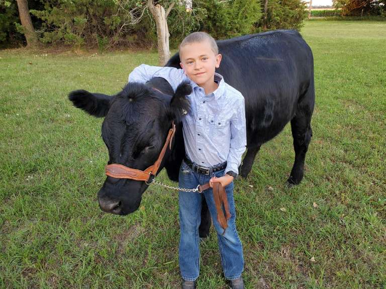 Lane BEEF Gavel Roads Online Auctions