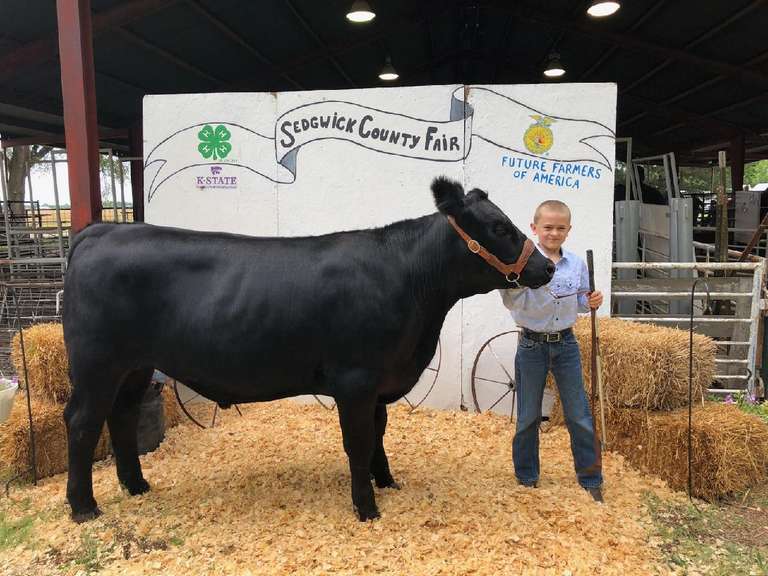 Lane BEEF // RED Gavel Roads Online Auctions