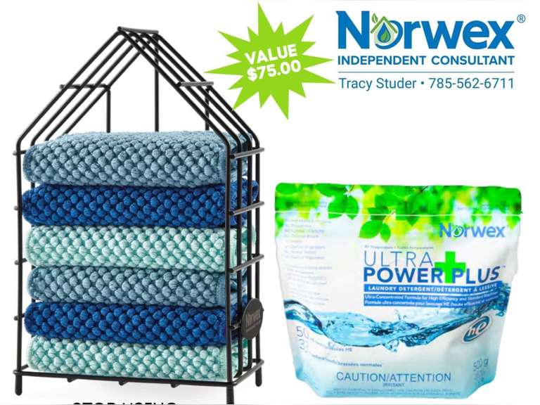 Norwex Gift Basket Gavel Roads Online Auctions