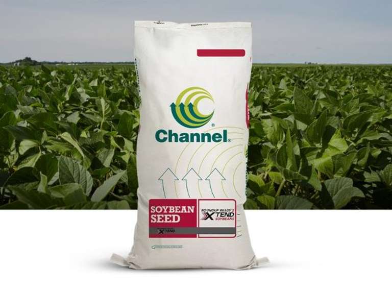 (10) Bags Channel Seed Xtend Soybeans Gavel Roads Online Auctions