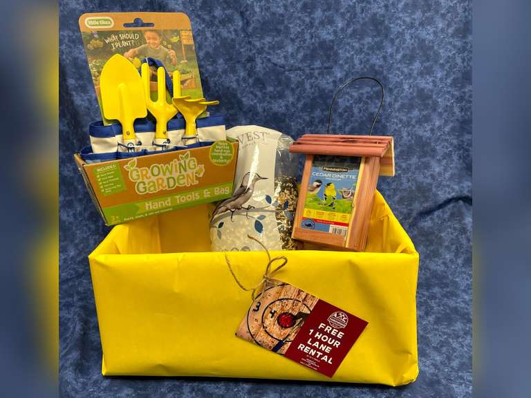 I Spy Birds Gavel Roads Online Auctions