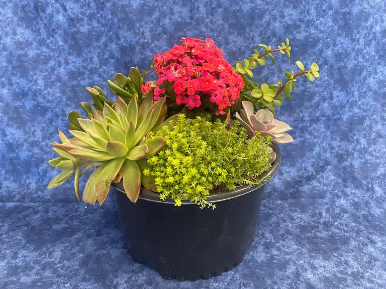 Flower Basket Walmart Gavel Roads Online Auctions