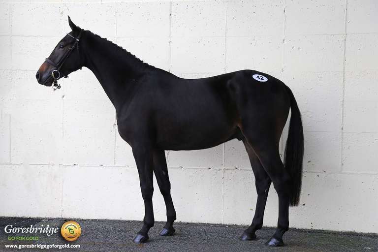 BALLYSHAN GOODLUCK