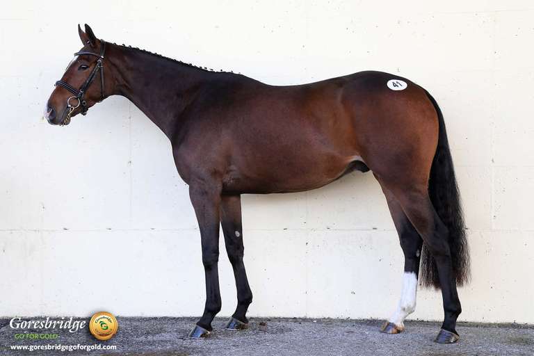 KILCANNON SENSATION