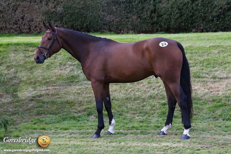 BEECHFIELDS COURAGEOUS