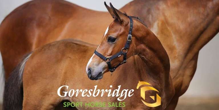 Broodmare Foal & Yearling Sale 