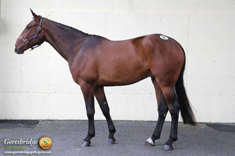 KNOCKALOUGH POET