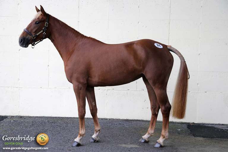 RAMIROS MAGIC DIAMOND