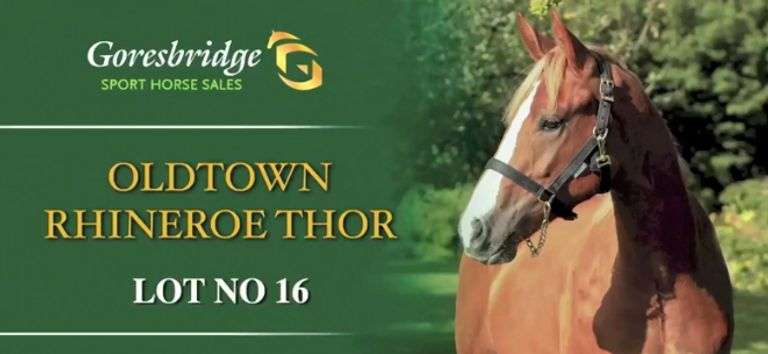 OLDTOWN RHINEROE THOR