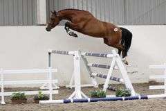 LEESTONE HILLSIDE OLIVER