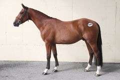 LEESTONE HILLSIDE OLIVER