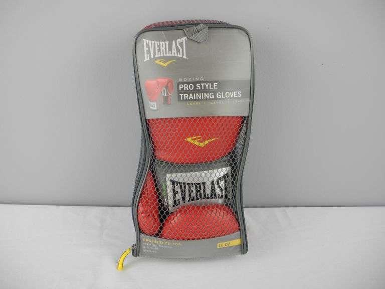 New Everlast Pro Style 16oz Boxing Training Gloves GC5 Auctions