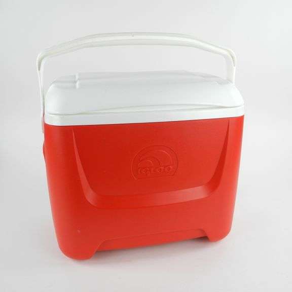 Clean Igloo 28" Cooler GC5 Auctions