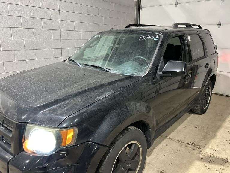 2009 FORD Escape Sel 1FMCU03719KB40291