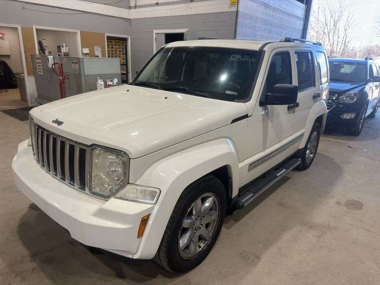2009 JEEP Liberty Limited Edition 1J8GN58K39W506069