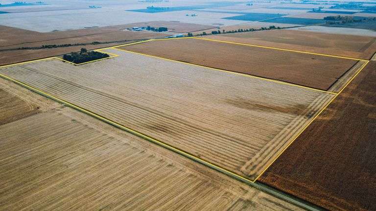 151 +/- Acres Champaign County Illinois Farmland Auction