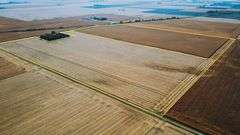 151 +/- Acres Champaign County Illinois Farmland Auction