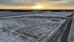 101.64 +/- Acres White County Farmland Auction