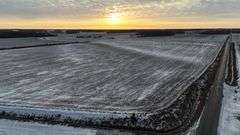 101.64 +/- Acres White County Farmland Auction
