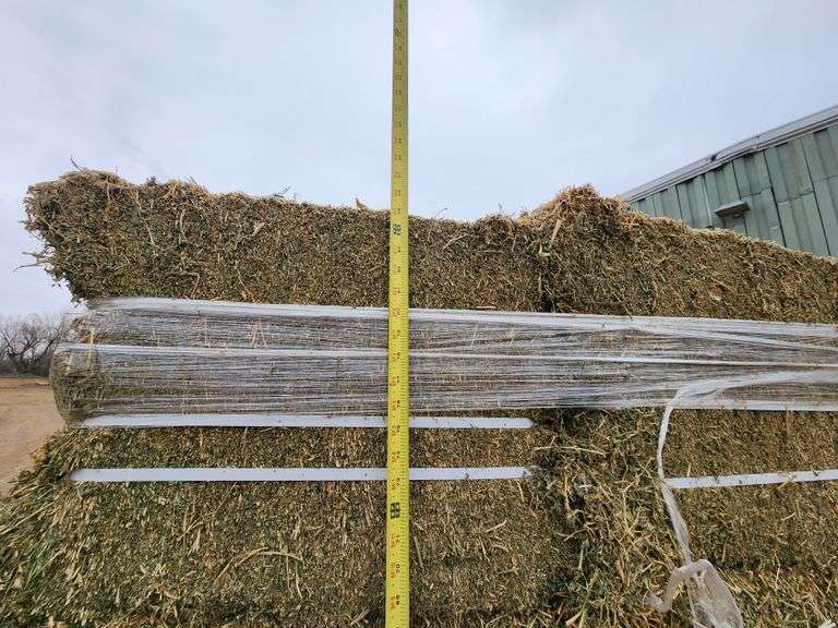 Alfalfa Small Square Bales Great Plains Auction
