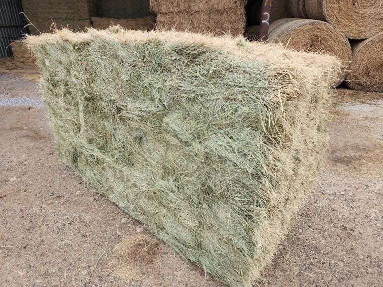 Hay Auction Great Plains Auction