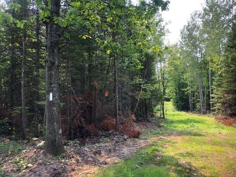 317.04± Acres Recreational Land Douglas County, WI Hansen Auction