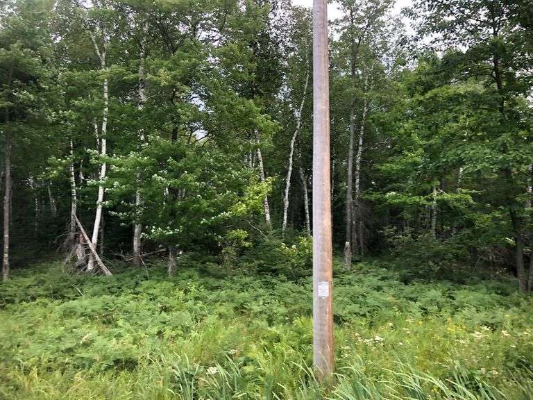 317.04± Acres Recreational Land Douglas County, WI Hansen Auction