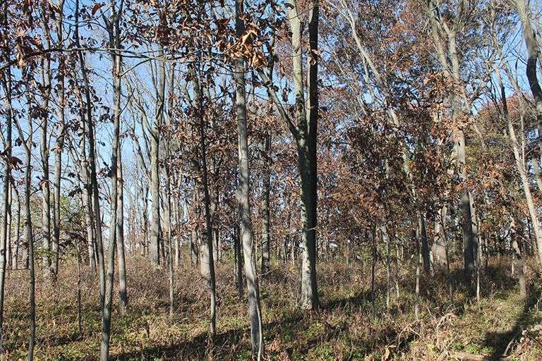 & Helen Rooze Farm Halderman Real Estate Services