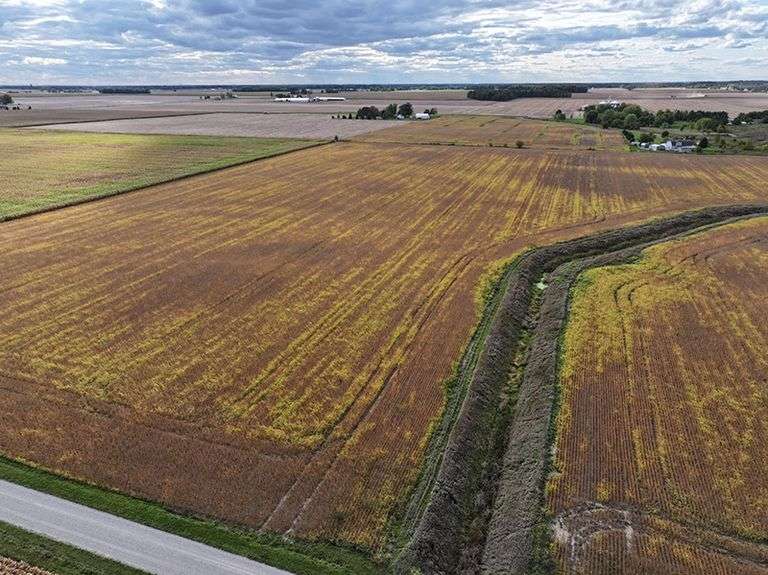 Mann Farm Halderman Real Estate Services