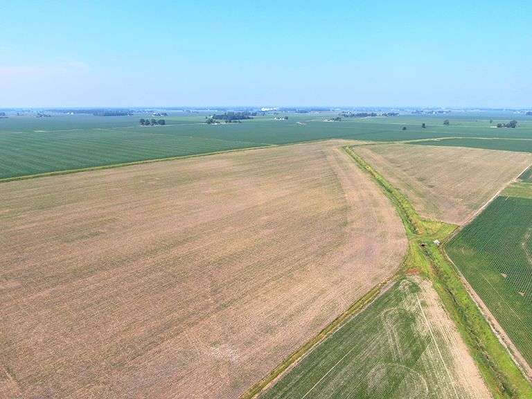 Durbin Day 3 (Howard, Tipton & Madison Counties, IN) Halderman Real