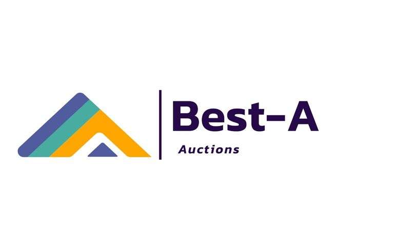Besta Auction 125K Value, Amazon Costco Products Including Gaming Monitors Bathroom Vanities, Shoes, Headphones, Earbuds, Tools