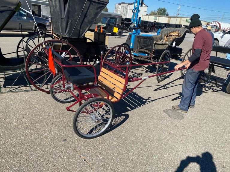 Pony cart Mt Hope Auction