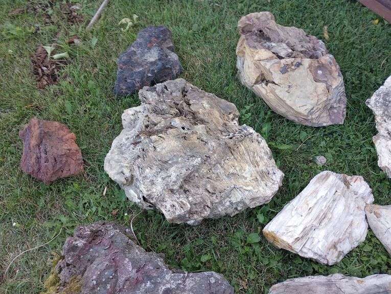 Decorative garden rocks Integrity Auctioneers