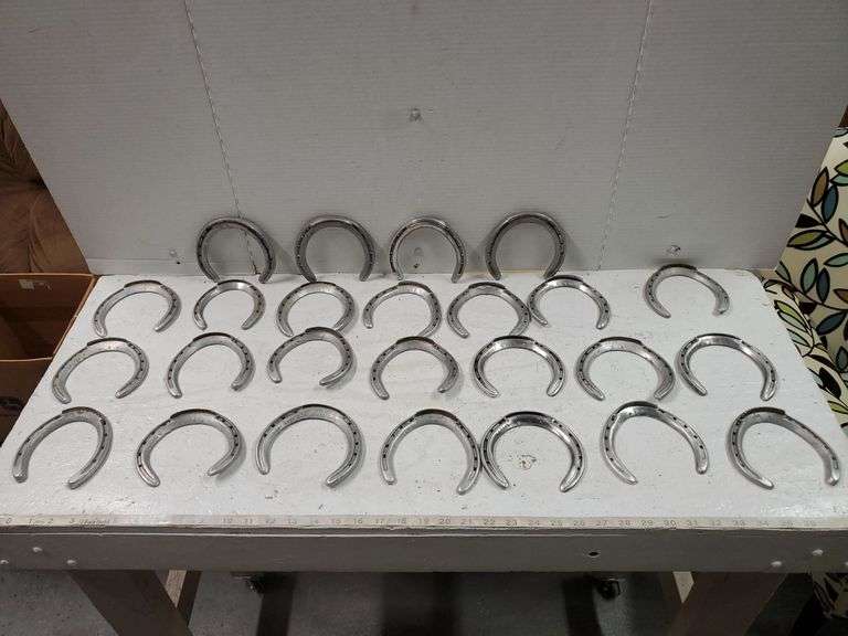 25 COUNT ALUMINUM HORSESHOES Isabell Auction