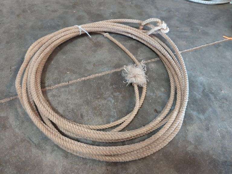 LASSO ROPE Isabell Auction